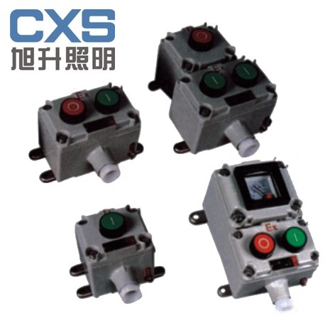 供应CBA53/BLA53/LA5821/LA53/防爆控制按钮